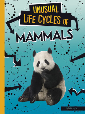 cover image of Unusual Life Cycles of Mammals
